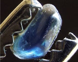 Sapphire – Nigeria - 3.81 cts - Ref. OSB/91
