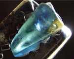 Sapphire – Nigeria - 3.81 cts - Ref. OSB/91
