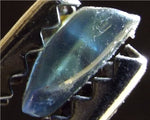 Sapphire – Nigeria - 3.81 cts - Ref. OSB/91