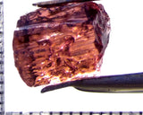 Tourmaline – Mozambique – 6.11 cts - Ref. TOB-683