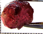 Tourmaline – Mozambique – 11.41 cts - Ref. TOB-709