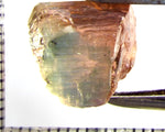 Tourmaline – Mozambique – 12.74 cts - Ref. TOB-712 - THIS STONE HAS BEEN RESERVED