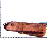 Tourmaline – Mozambique – 19.29 cts - Ref. TOB-718