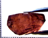 Tourmaline – Mozambique – 19.41 cts - Ref. TOB-719