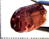 Tourmaline – Mozambique – 19.41 cts - Ref. TOB-719