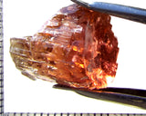 Tourmaline – Mozambique – 22.92 cts - Ref. TOB-720