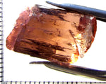 Tourmaline – Mozambique – 22.94 cts - Ref. TOB-721