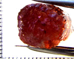 Tourmaline – Mozambique – 22.94 cts - Ref. TOB-721