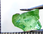 Tourmaline – Mozambique – 6.92 cts - Ref. TOB-728- THIS STONE HAS BEEN RESERVED