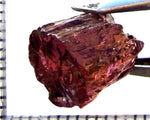 Tourmaline – Mozambique – 7.67 cts - Ref. TOB-731