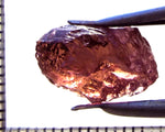 Tourmaline – Mozambique – 7.78 cts - Ref. TOB-732