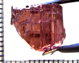 Tourmaline – Mozambique – 7.81 cts - Ref. TOB-733