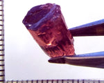 Tourmaline – Mozambique – 7.83 cts - Ref. TOB-734
