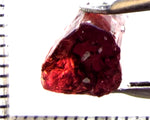 Tourmaline – Mozambique – 9.08cts - Ref. TOB-740