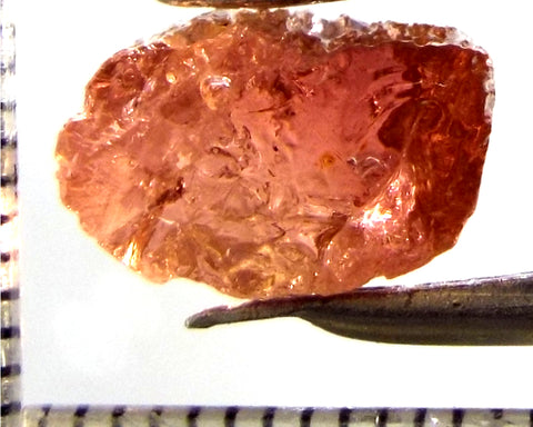 Tourmaline – Mozambique – 9.31 cts - Ref. TOB-741- THIS STONE HAS BEEN RESERVED