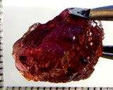 Tourmaline – Mozambique – 10.66 cts - Ref. TOB-744