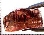 Tourmaline – Mozambique – 10.70 cts - Ref. TOB-745