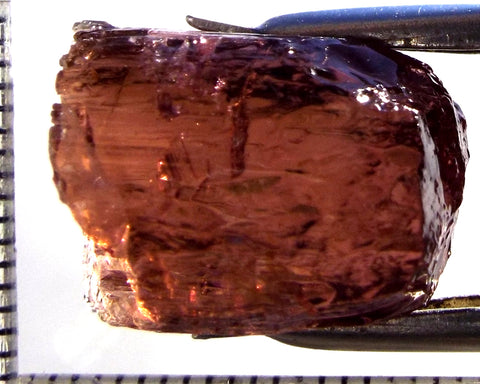 Tourmaline – Mozambique – 27.95 cts - Ref. TOB-748