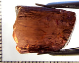 Tourmaline – Mozambique – 29.49 cts - Ref. TOB-749