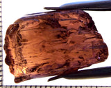 Tourmaline – Mozambique – 29.49 cts - Ref. TOB-749