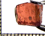 Tourmaline – Mozambique – 4.26 cts - Ref. TOB-751