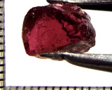 Tourmaline – Mozambique – 5.56 cts - Ref. TOB-753