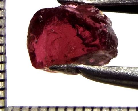 Tourmaline – Mozambique – 5.56 cts - Ref. TOB-753