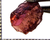 Tourmaline – Mozambique – 5.56 cts - Ref. TOB-753