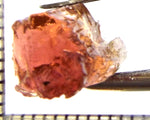 Tourmaline – Mozambique – 8.31 cts - Ref. TOB-762
