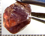 Zircon - Tanzania 11.13 cts - Ref. ZR/73