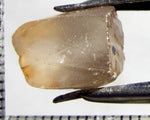 Zircon - Tanzania 12.81 cts - Ref. ZR/76