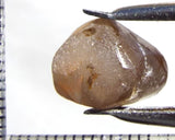 Zircon - Tanzania 18.19 cts - Ref. ZR/79