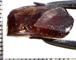 Zircon - Tanzania 21.09 cts - Ref. ZR/81