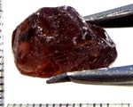 Zircon - Tanzania 21.09 cts - Ref. ZR/81