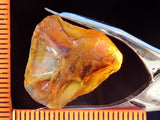 Citrine Bahia - Brazil 26.31 cts - Ref. CR/17
