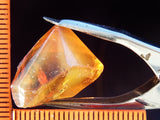 Citrine Bahia - Brazil 26.31 cts - Ref. CR/17