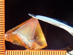 Citrine Bahia - Brazil 26.31 cts - Ref. CR/17