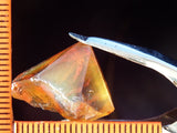 Citrine Bahia - Brazil 26.31 cts - Ref. CR/17
