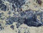 Fossil Cichlid, Middle Eocene, Mahenga, Tanzania Ref. MHG-13 - Reserved