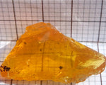 Fire Opal, Brazil – 40.54 cts - Ref. VO/27