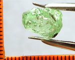 Garnet – Tanzania -'Mint' Green Grossular -  6.21 cts - Ref. GRB/36