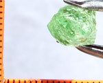 Garnet – Tanzania -'Mint' Green Grossular - 5.45 cts - Ref. GRB/40
