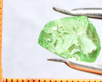 Garnet – Tanzania -'Mint' Green Grossular - 5.45 cts - Ref. GRB/40