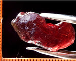 Garnet – Umba – Tanzania 22.31 cts - Ref. MG/32