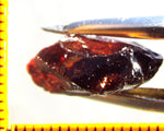 Garnet - Red - Tanzania - 18.94 cts - Ref. MG/70
