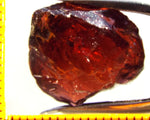 Garnet - Red - Tanzania - 18.94 cts - Ref. MG/70