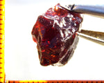 Garnet - Red - Tanzania - 18.06 cts - Ref. MG/71
