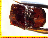 Garnet - Red - Tanzania - 23.33 cts - Ref. MG/75