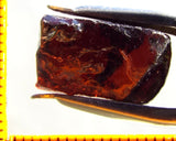 Garnet - Red - Tanzania - 23.33 cts - Ref. MG/75