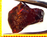 Garnet - Red - Tanzania - 23.33 cts - Ref. MG/75